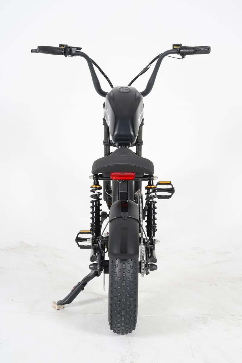 Mangosteen FT02 Mini E-Bike