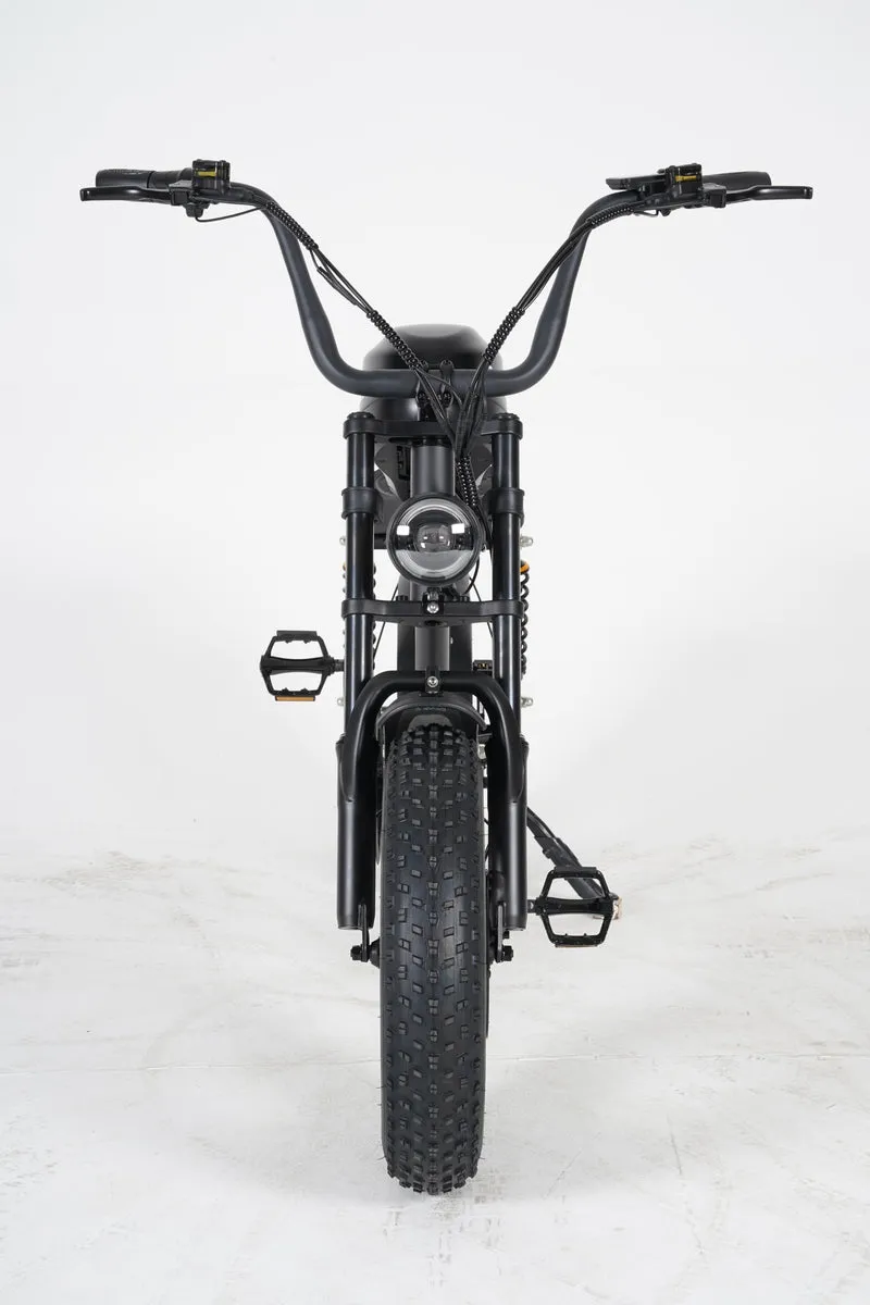 Mangosteen FT02 Mini E-Bike
