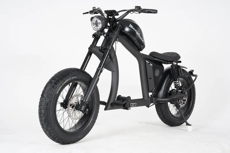Mangosteen FT02 EEC E-Bike