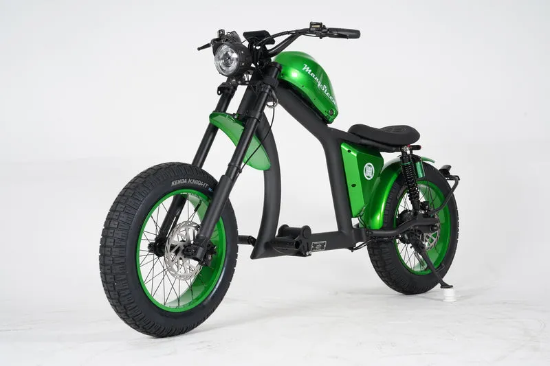 Mangosteen FT02 EEC E-Bike