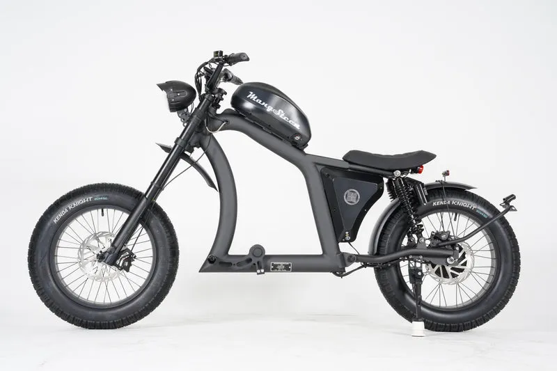 Mangosteen FT02 EEC E-Bike
