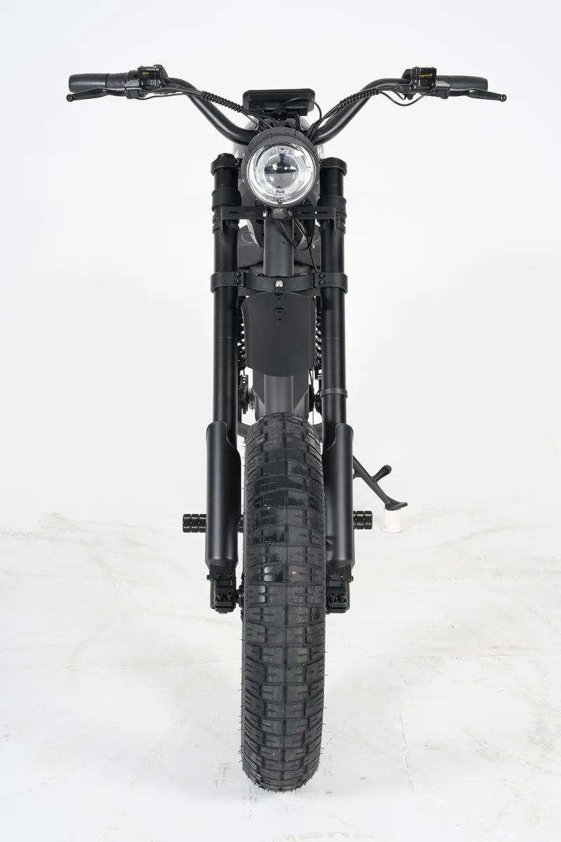 Mangosteen FT02 EEC E-Bike