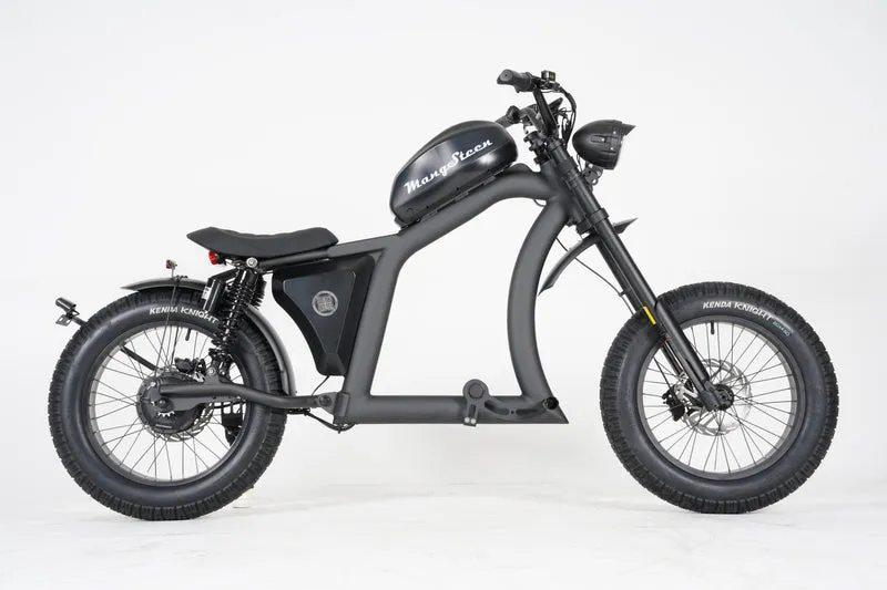 Mangosteen FT02 EEC E-Bike
