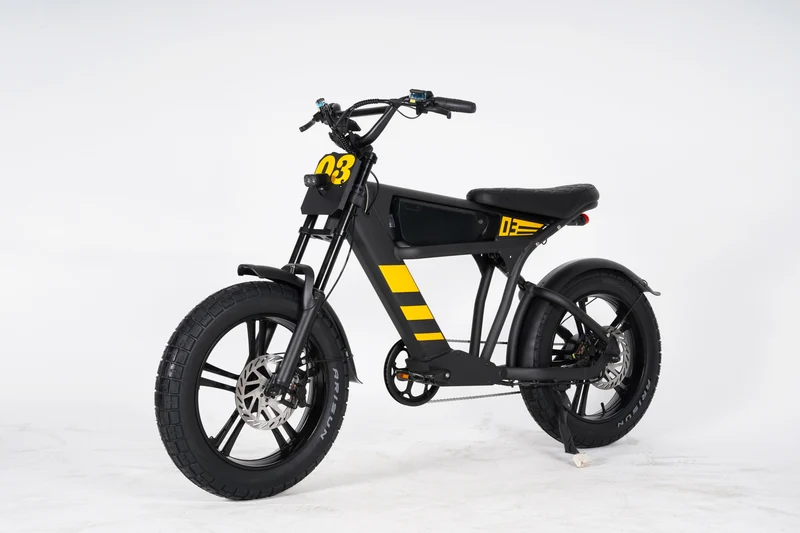 Mangosteen FT03 E-Bike