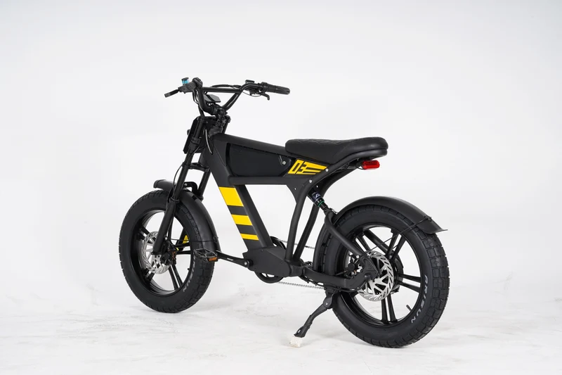 Mangosteen FT03 E-Bike
