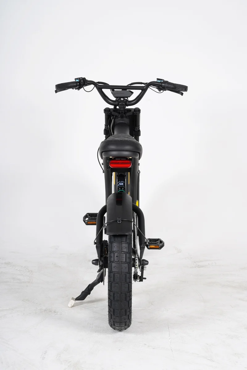 Mangosteen FT03 E-Bike