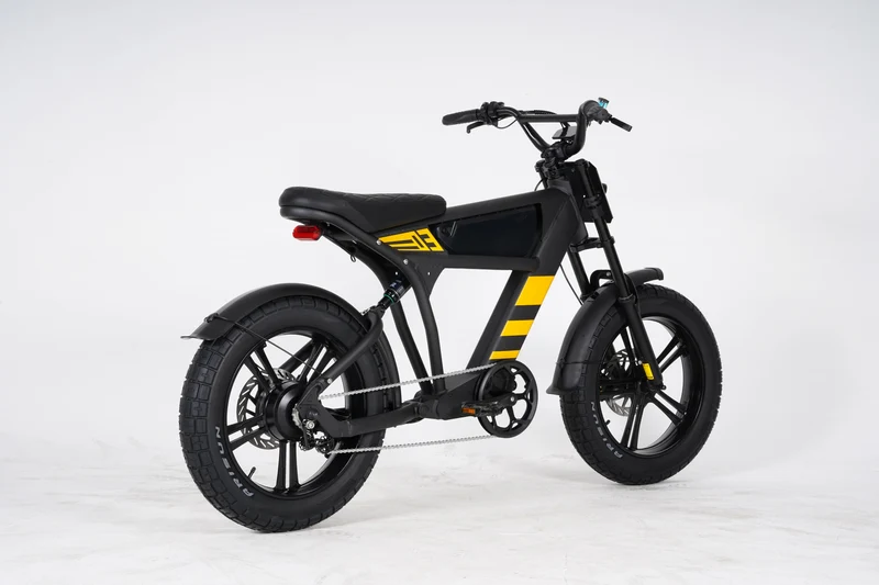 Mangosteen FT03 E-Bike