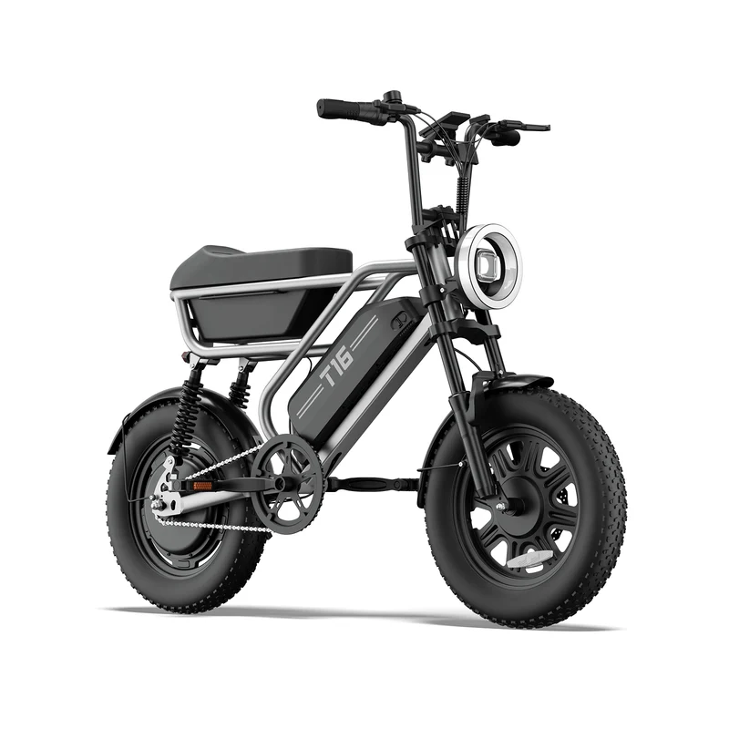 URLIFE T16 16" Offroad-Elektrofahrrad 250W Motor 48V 13Ah Batterie