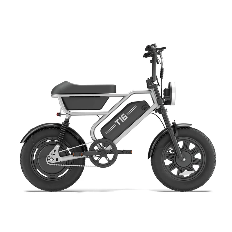 URLIFE T16 16" Offroad-Elektrofahrrad 250W Motor 48V 13Ah Batterie