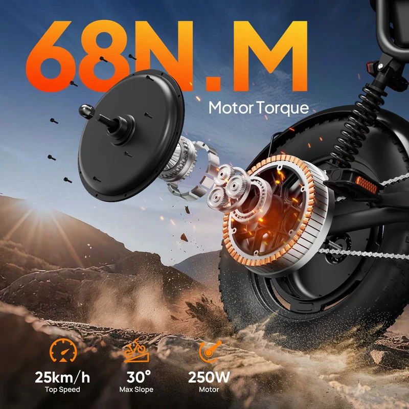 URLIFE T16 16" Offroad-Elektrofahrrad 250W Motor 48V 13Ah Batterie
