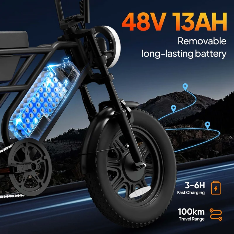 URLIFE T16 16" Offroad-Elektrofahrrad 250W Motor 48V 13Ah Batterie