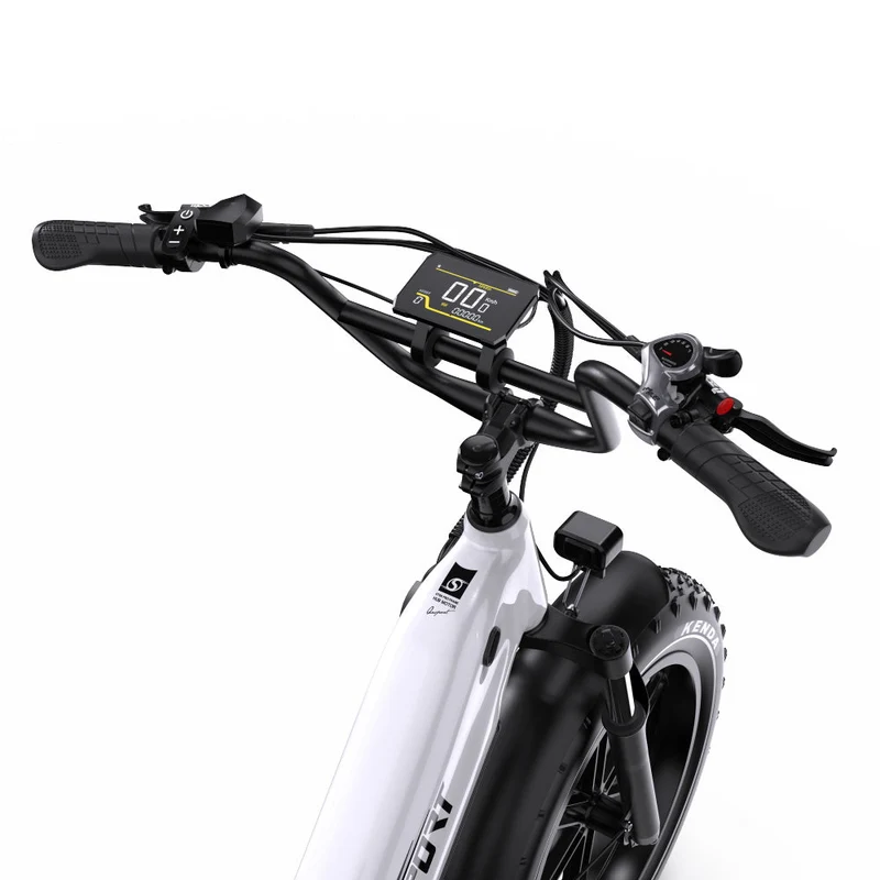 ONESPORT OT08 20" Fat Tire All-Terrain E-Bike mit 500W Motor und 48V 18Ah Batterie
