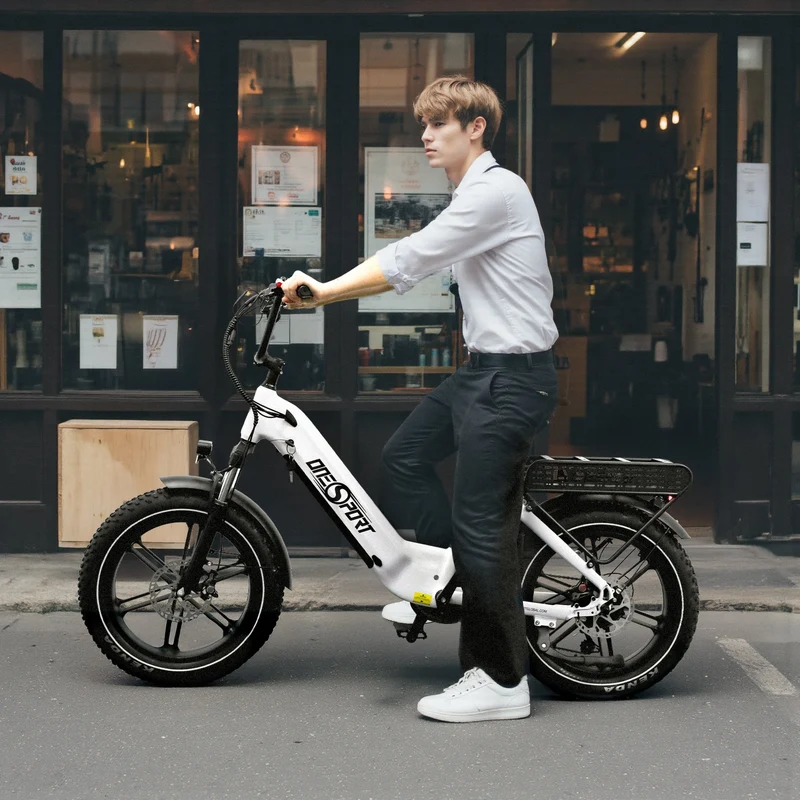 ONESPORT OT08 20" Fat Tire All-Terrain E-Bike mit 500W Motor und 48V 18Ah Batterie