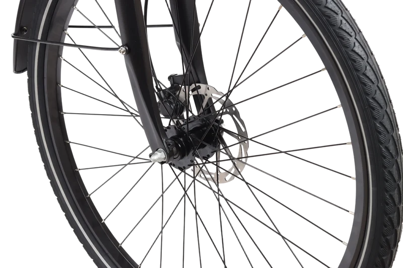 NAVEE Urban Go(Generalüberholt – A Qualität)