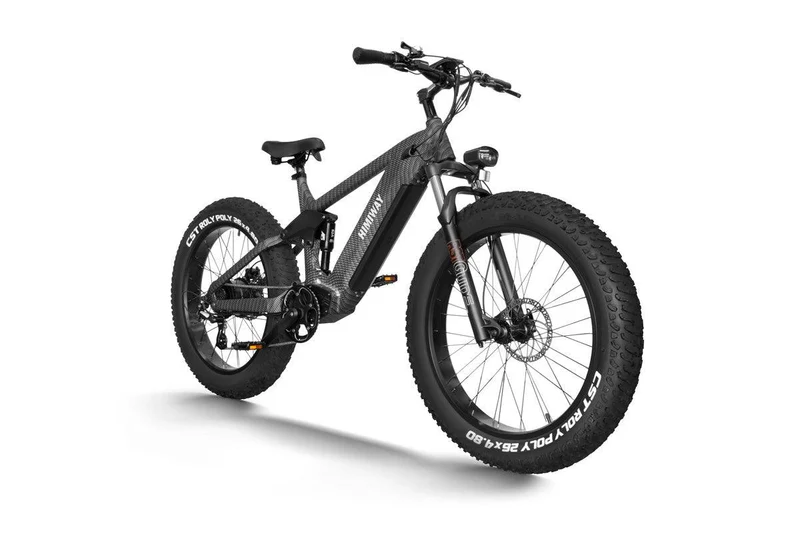 Himiway D7 | Elektrisches Mountainbike Fully