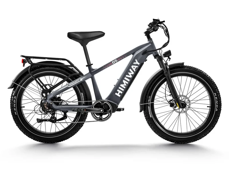 Zebra Fat E-Bike D5