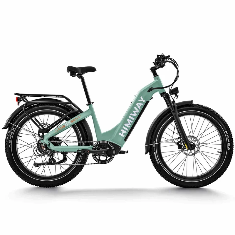 Zebra Fat E-Bike D5