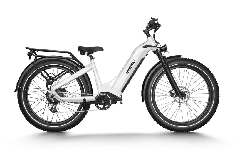 Zebra Fat E-Bike D5