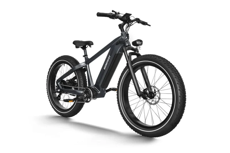 Zebra Fat E-Bike D5