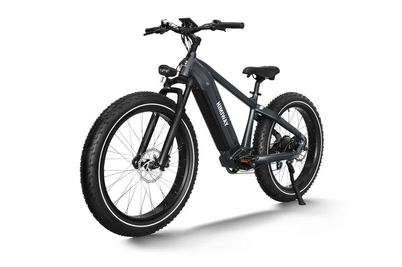 Zebra Fat E-Bike D5
