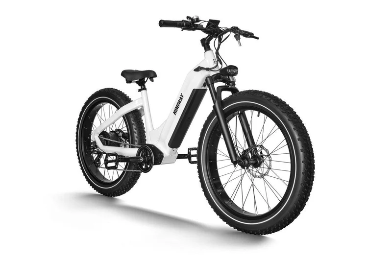 Zebra Fat E-Bike D5