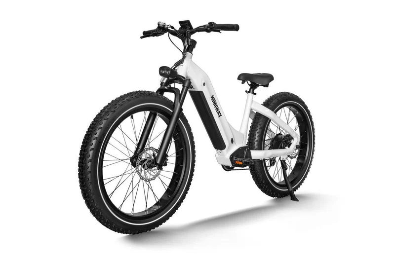 Zebra Fat E-Bike D5