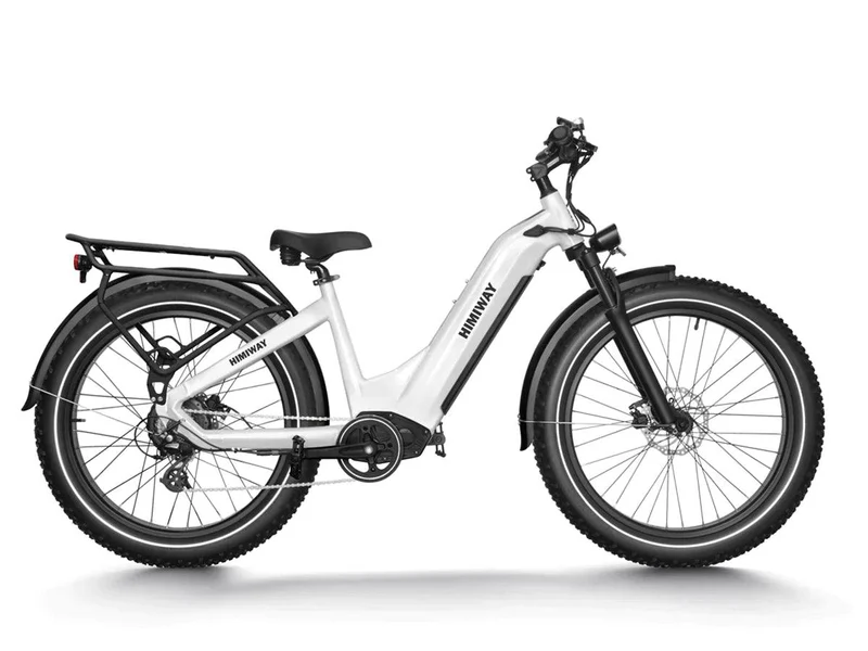 Zebra Fat E-Bike D5