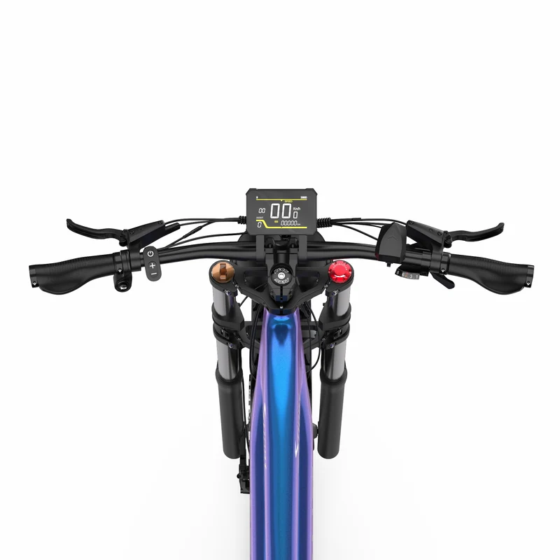 DUOTTS E26 26" Elektro Mountainbike Mit 750W Motor 48V 20Ah Batterie