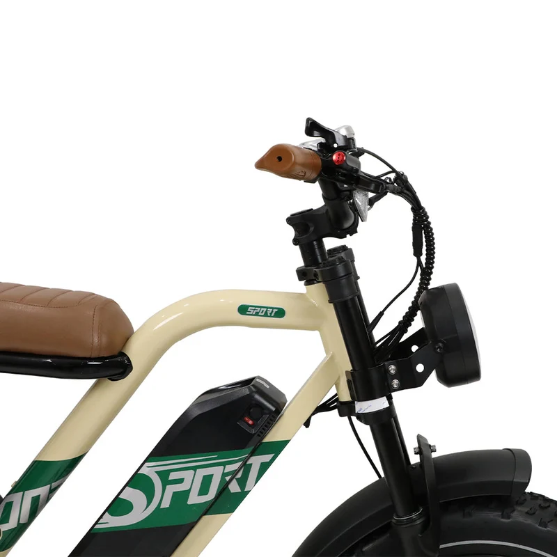 ONESPORT W66 20“ Retro Elektrofahrrad 500W Motor 48V 13.5Ah Batterie