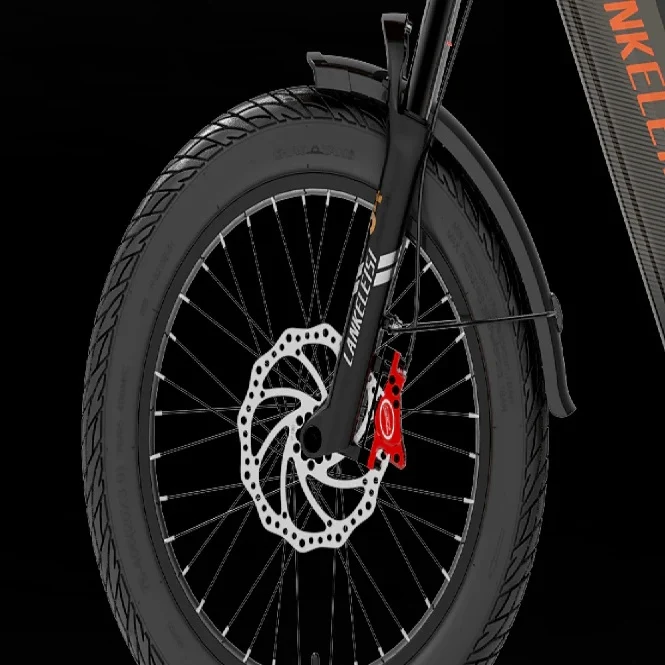 LANKELEISI Wombat-1 20“ Lasten Elektrofahrrad 1000W Motor 48V 20Ah Batterie