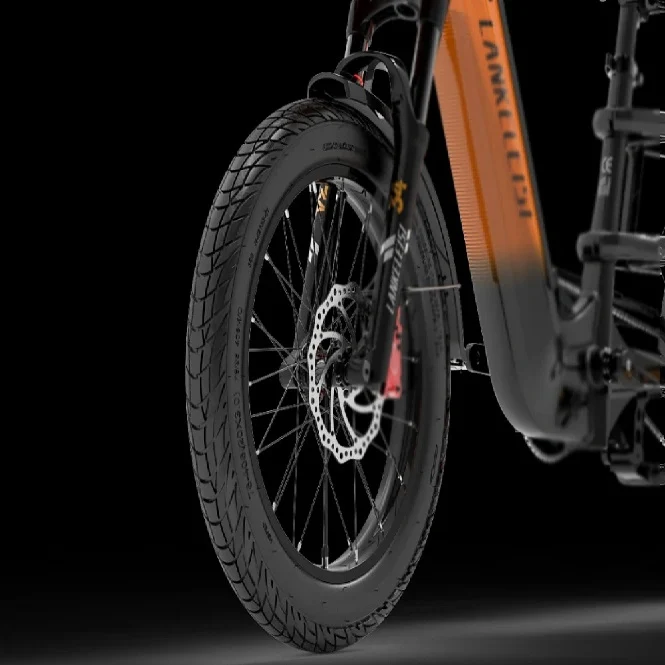 LANKELEISI Wombat-1 20“ Lasten Elektrofahrrad 1000W Motor 48V 20Ah Batterie