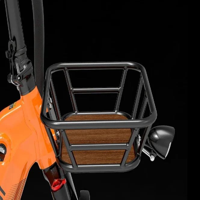LANKELEISI Wombat-1 20“ Lasten Elektrofahrrad 1000W Motor 48V 20Ah Batterie