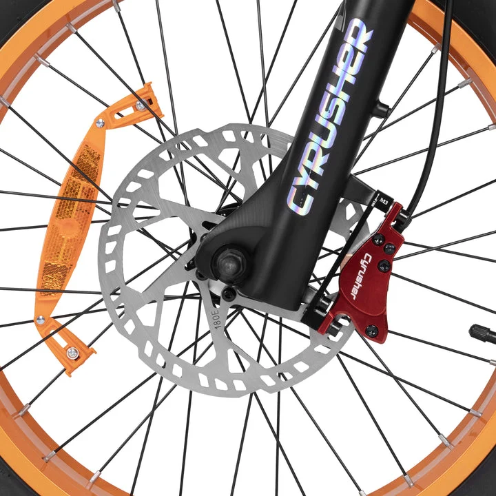 CYRUSHER Kommoda 2.0 20" Elektrofahrrad mit Durchstieg Fat Reifen 250W Motor 48V 20Ah Batterie