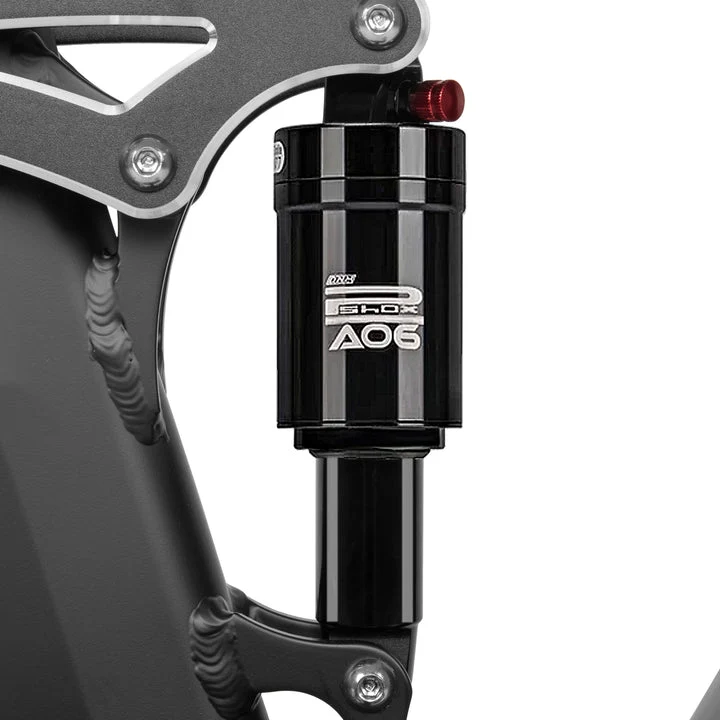 CYRUSHER Kommoda 2.0 20" Elektrofahrrad mit Durchstieg Fat Reifen 250W Motor 48V 20Ah Batterie