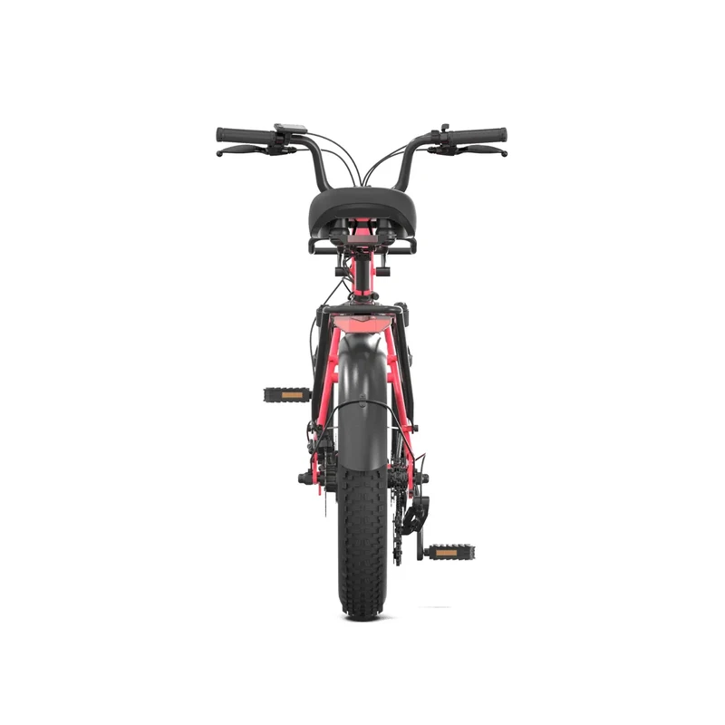 PVY LS20 20" Tiefeinsteiger Elektro Citybike 250W Motor 48V 16,5Ah Batterie
