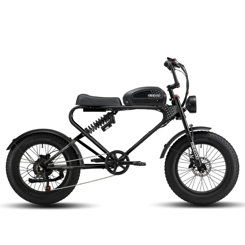 MEELOD DK300 PLUS 20" Elektrofahrrad im Retro Moped Stil 1200W Spitzenmotor 48V 20Ah Batterie