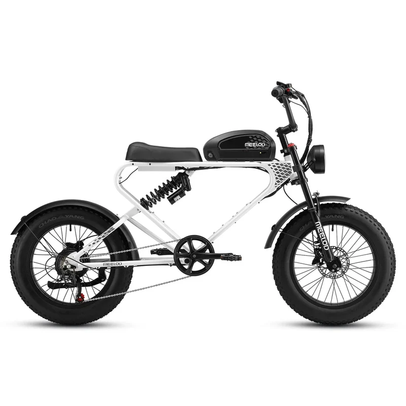 MEELOD DK300 PLUS 20" Elektrofahrrad im Retro Moped Stil 1200W Spitzenmotor 48V 20Ah Batterie