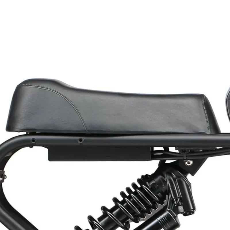 MEELOD DK300 MAX 20" Elektrofahrrad im Retro-Moped-Stil 2400W Spitzenleistung Motor 48V 20Ah Doppelbatterien