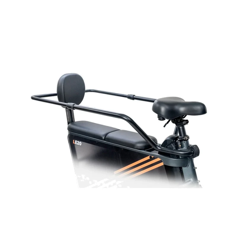 ENGWE LE20 20" Tiefeinsteiger Elektrisches Lastenfahrrad 250W Motor 48V 19,2Ah Batterie