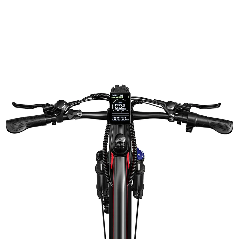 RANDRIDE YG90B 27,5"/29" E-Mountainbike 1000W Motor 48V 17Ah Batterie