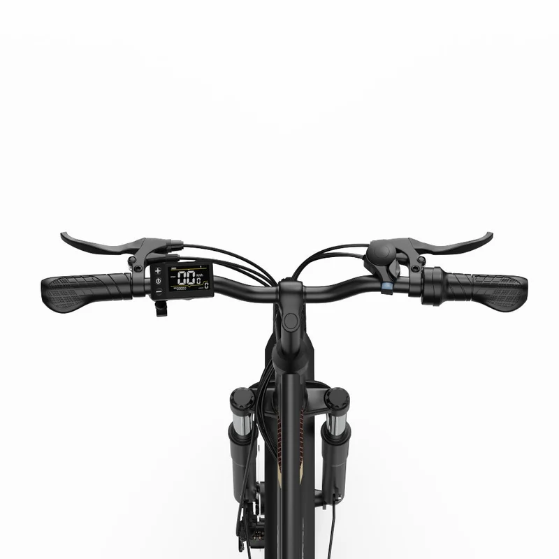 ONESPORT OT18-3 26" elektrisches Citybike 250W Motor 36V 14,4Ah Batterie