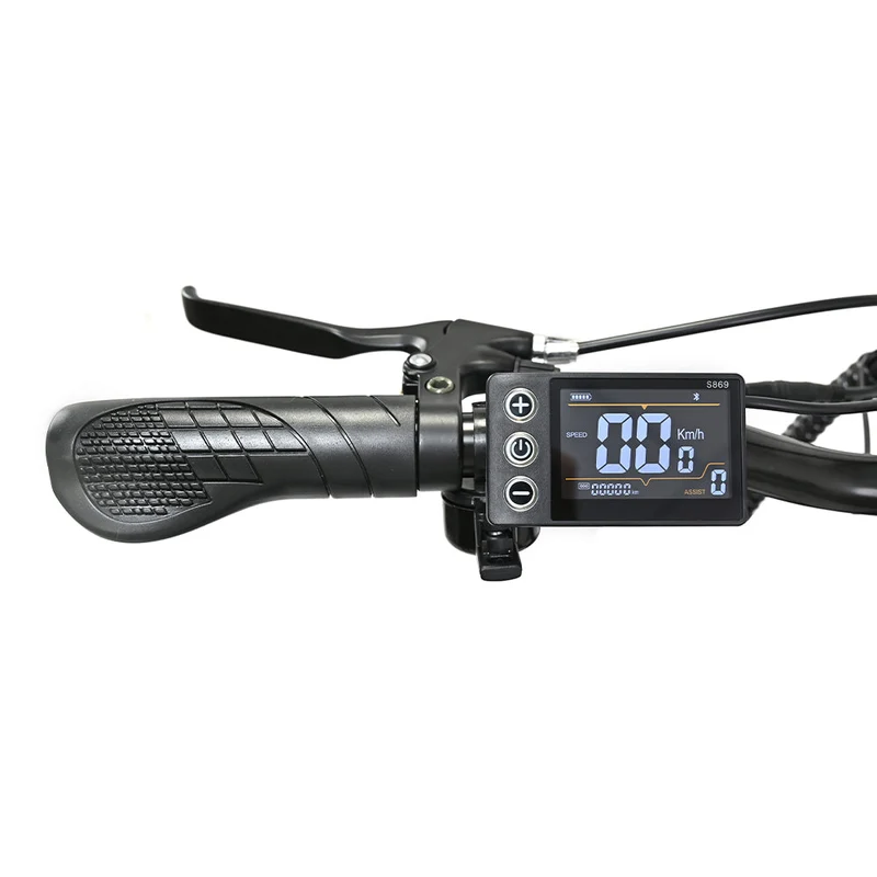 ONESPORT OT18-3 26" elektrisches Citybike 250W Motor 36V 14,4Ah Batterie