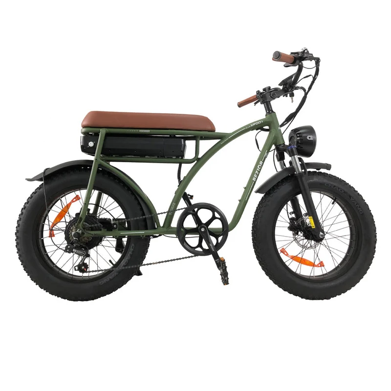 BEZIOR XF001 PLUS 20" Fetter Reifen Retro Elektrofahrrad 1000W Motor 48V 17,5Ah Batterie