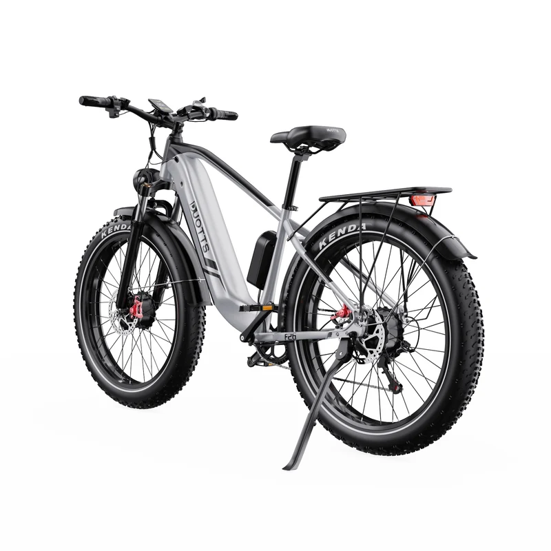 DUOTTS F26 26" Elektrofahrrad Mountainbike 750W*2 Motor 48V 20Ah Batterie