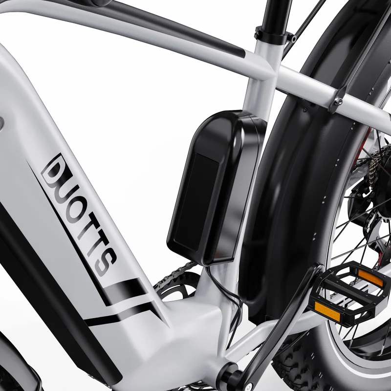 DUOTTS F26 26" Elektrofahrrad Mountainbike 750W*2 Motor 48V 20Ah Batterie