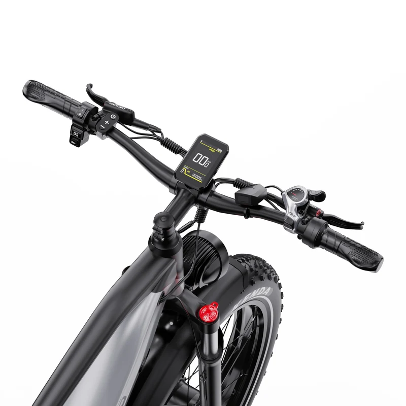 DUOTTS F26 26" Elektrofahrrad Mountainbike 750W*2 Motor 48V 20Ah Batterie