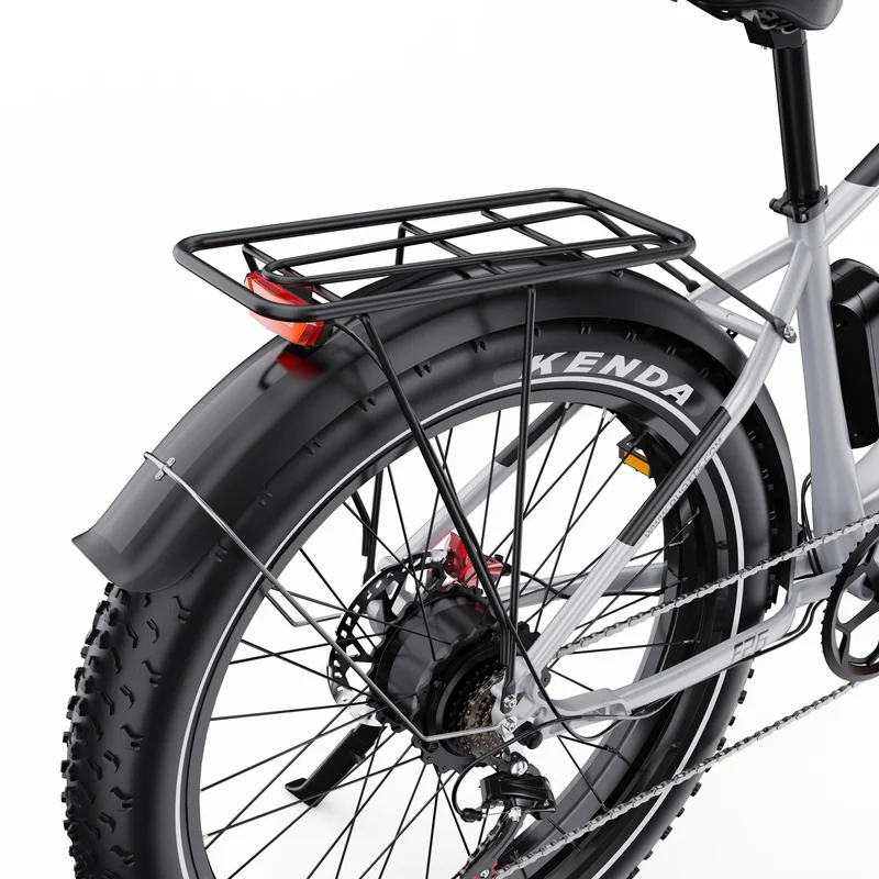DUOTTS F26 26" Elektrofahrrad Mountainbike 750W*2 Motor 48V 20Ah Batterie