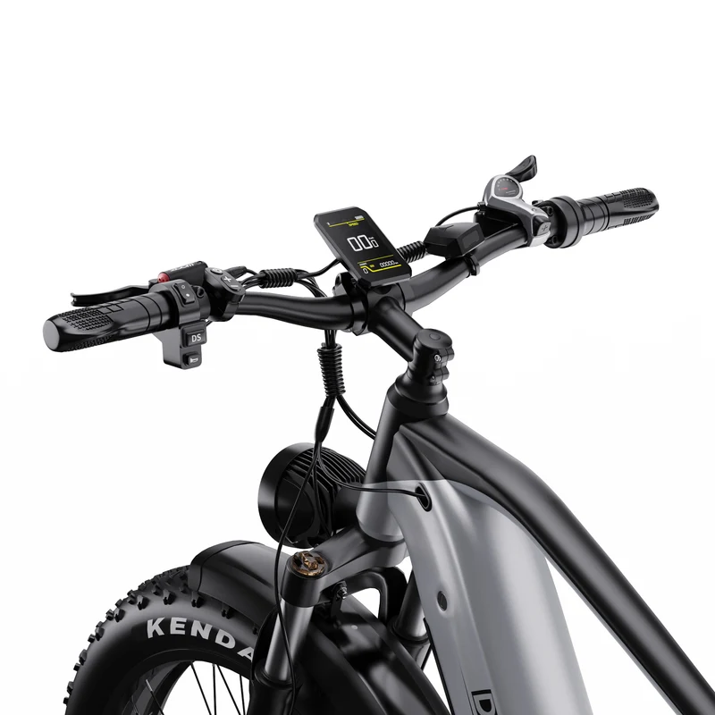 DUOTTS F26 26" Elektrofahrrad Mountainbike 750W*2 Motor 48V 20Ah Batterie