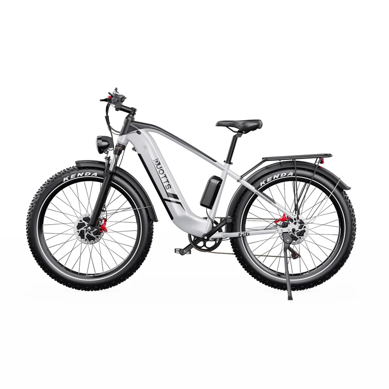 DUOTTS F26 26" Elektrofahrrad Mountainbike 750W*2 Motor 48V 20Ah Batterie