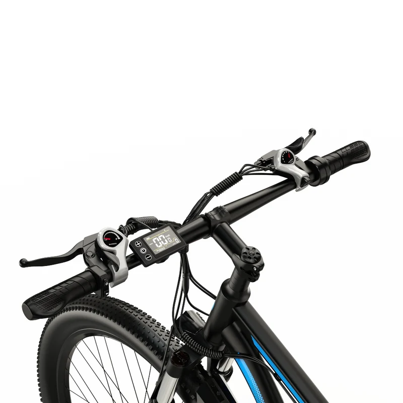 DUOTTS C29 29" Elektrofahrrad Mountainbike 750W Motor 48V 15Ah Batterie